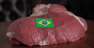 Brazil beef  