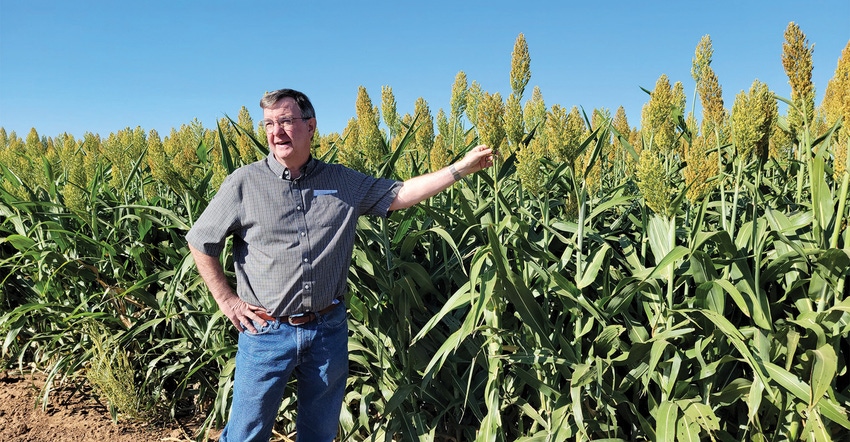 swfp-shelley-huguley-brent-bean-forage-sorghum-banner.jpg swfp-shelley-huguley-brent-bean-forage-sorghum-banner.jpg