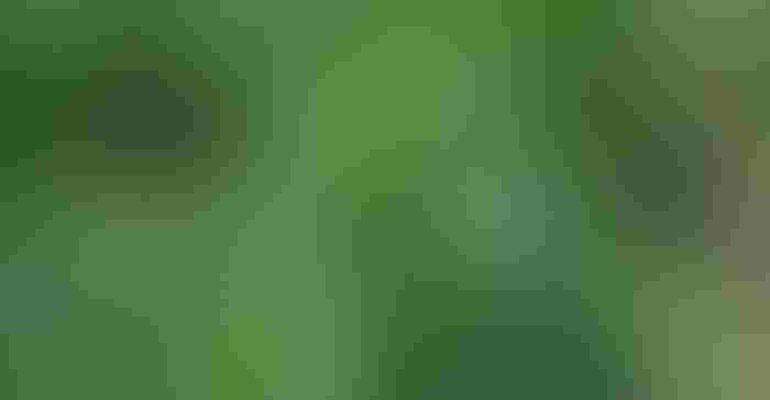 0107T-3454b-1540x800.jpg 0107T-3454b-1540x800.jpg