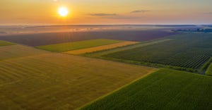 Aerial drone view of cultivated farmland