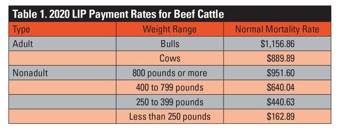   2020 LIP Payment Rates for Beef Cattle. 