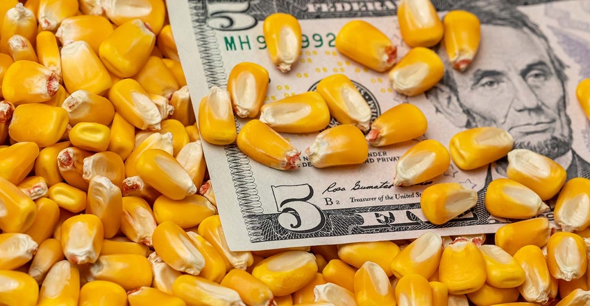Five dollar bill in corn Five dollar bill in corn