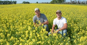 Morgan (left) and Isaac Jacobs in a field of mustard and field peas