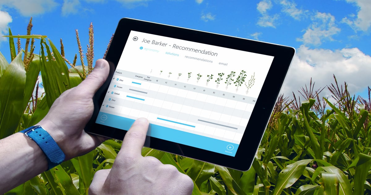 BASF launches Maglis