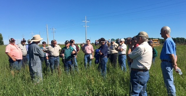 people in field attending Michigan's Cattlemen's summer round-up