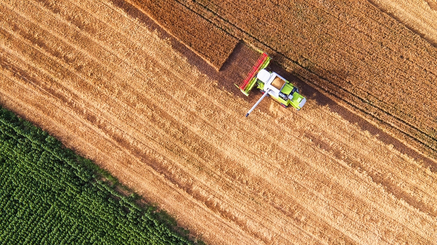 Aerial view of wheat harvest