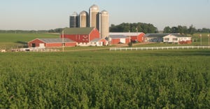 scenic farmstead with alfalfa field