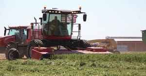 The Hesston by Massey Ferguson self-propelled windrowers in field at HHD
