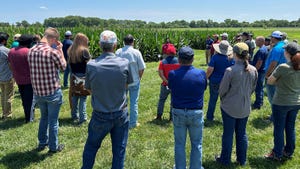Participants learn best practices at summer field days