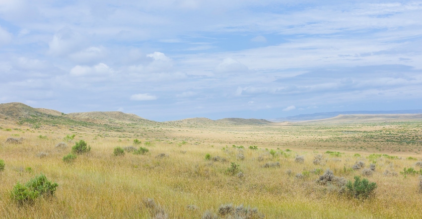 Prairie grassland and sagebrush Prairie grassland and sagebrush