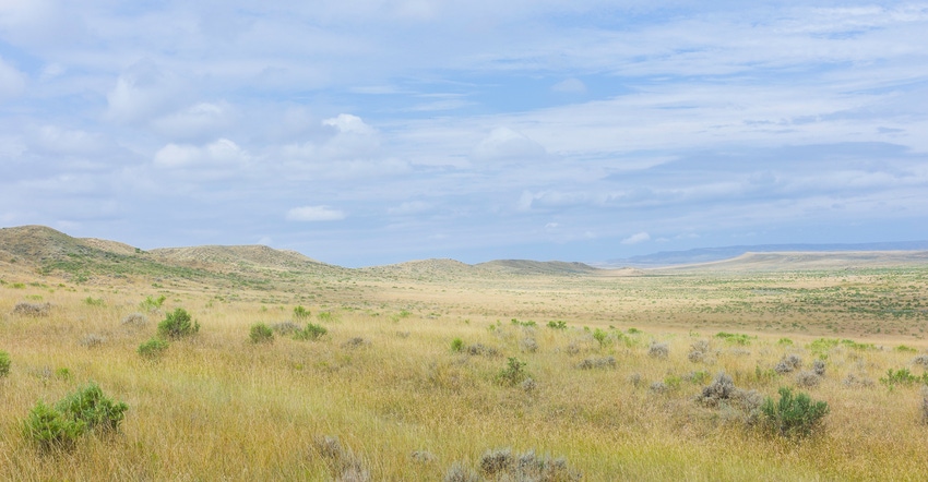 Prairie grassland and sagebrush 