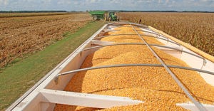 DFP-Corn-Harvest-CB-1141.jpg
