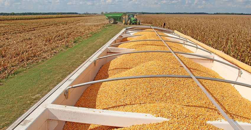 DFP-Corn-Harvest-CB-1141.jpg