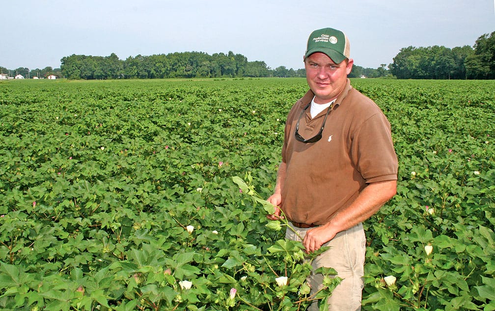 grower of tobacco cotton and sugar North Carolina growers need a champion. I appreciate the chance to meet with tobacco growers from across the state today lay out my agenda for tax, regulatory and trade policies NC State Extension Helps Tobacco