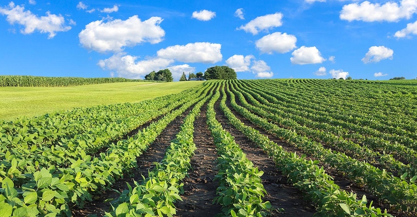 3-01-21 ag marketing iq SoybeansBlueSky-ghornephoto-iStock-Getty Images-487921766-1540_0.jpg 3-01-21 ag marketing iq SoybeansBlueSky-ghornephoto-iStock-Getty Images-487921766-1540_0.jpg