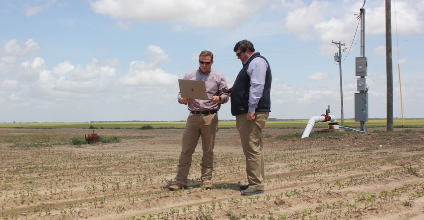 men look at computer in soybean field