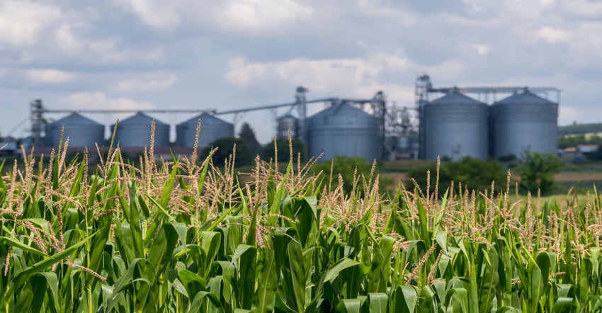 6-27-22 grain markets usset GettyImages-1202136432.jpg 6-27-22 grain markets usset GettyImages-1202136432.jpg