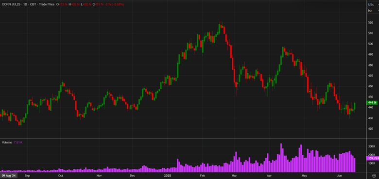 JULY CORN