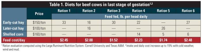 Diets for beef cows in last stage of gestation