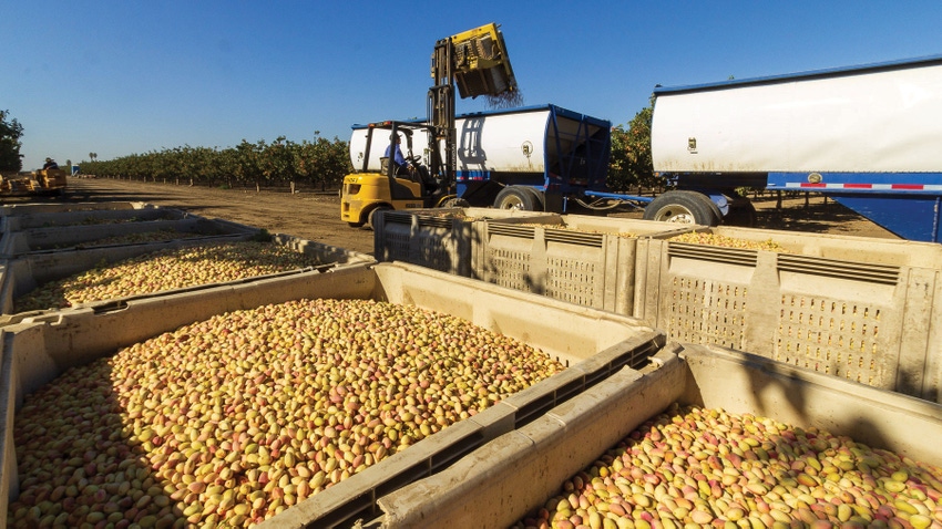 U.S. pistachio production.