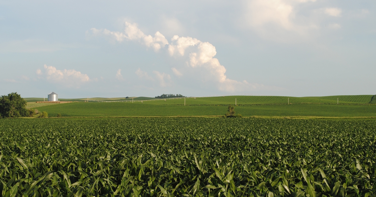 Nebraska land values keep climbing