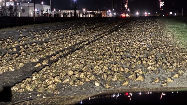 Sugarbeet-strewn road underscores harvest safety
