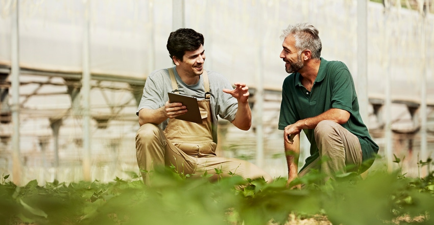 two men talk in greenhouse while holding a tablet two men talk in greenhouse while holding a tablet