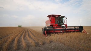 Combine harvesting soybean field