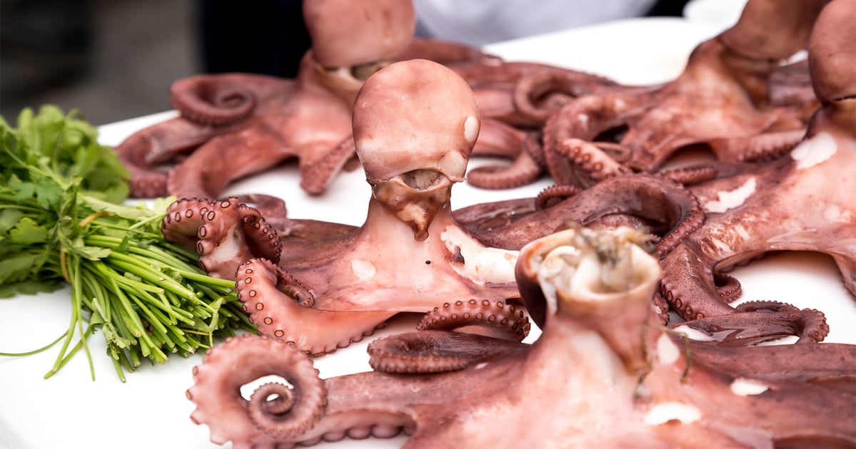 Why farmers should care about California’s octopus farming ban