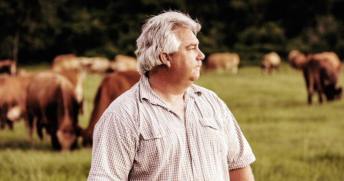 Florida rancher finds high-value niche with lean-beef and Wagyu breeds