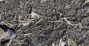 thawing soil