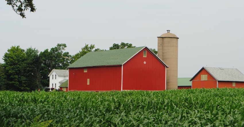 red barns behind lush green cornfield