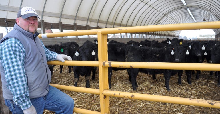 John Rash feeds cattle in hoop buildings 