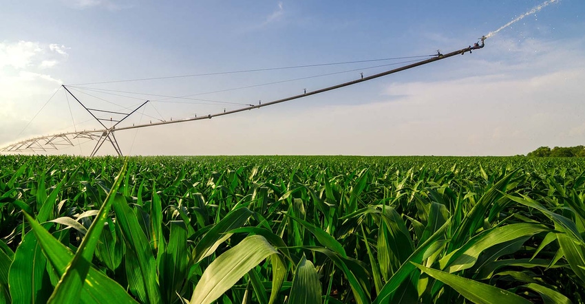 Irrigation on corn field summer 