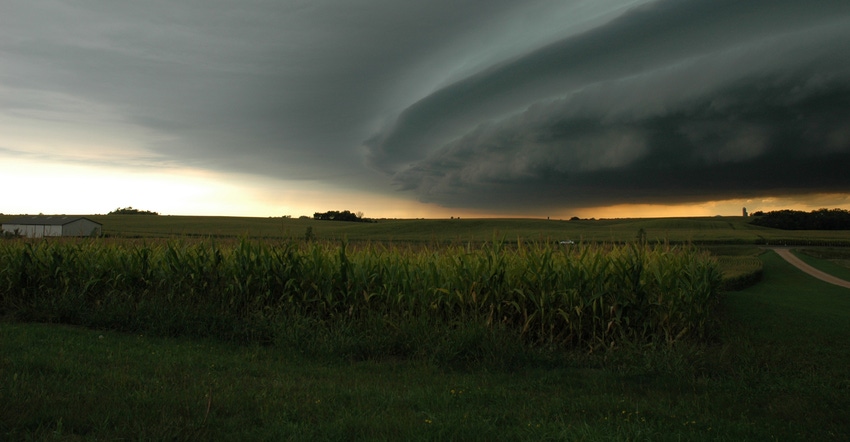 stormy sky over cornfield