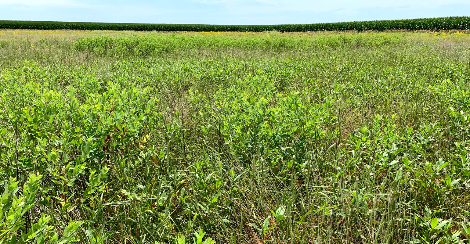 The field edge redefined