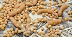 Mature soybeans and pods on U.S. dollars