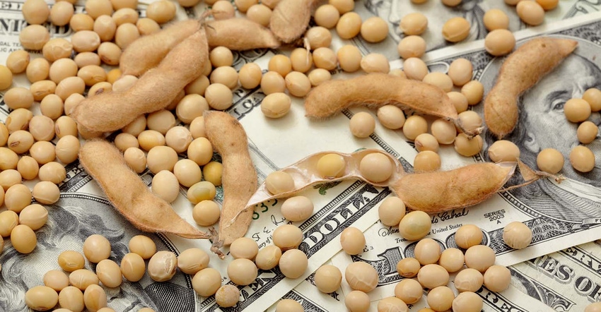 Mature soybeans and pods on U.S. dollars
