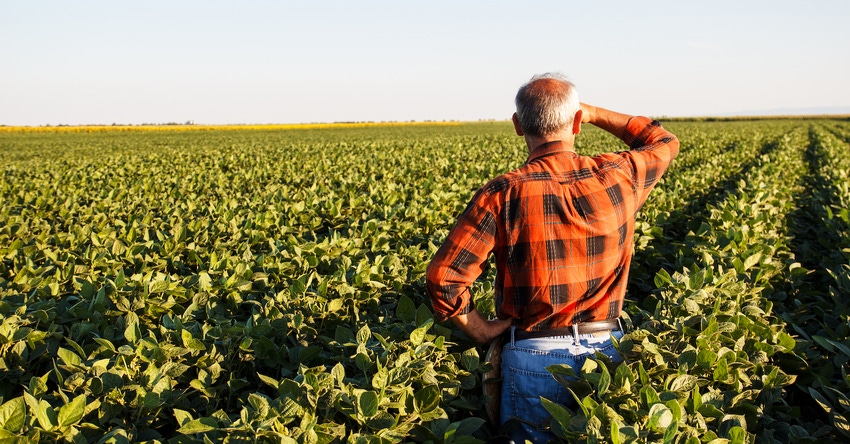 farmer-in-field-pointimages-istock-getty-images-plus-519364356 copy.jpg