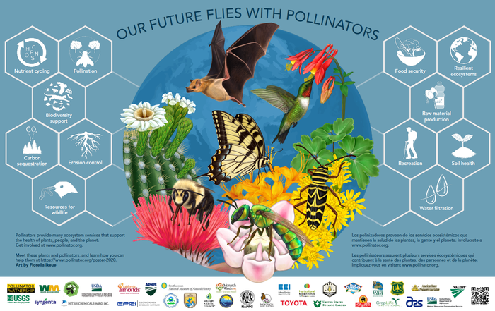 2020-Pollinator-Poster-Image