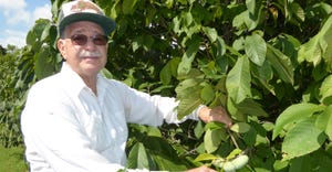 : Ron Powell, a grower of Paw Paws near Cincinnati, feels the little known banana custard tasting fruit is moving gradually t