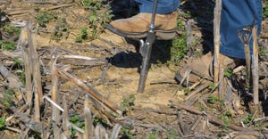 soil sample being taken