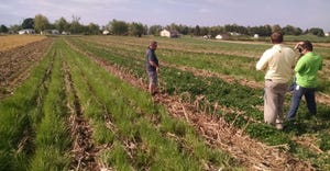 Farmers examine cover crops acres up close