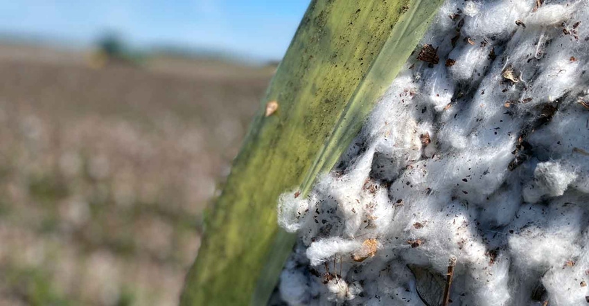 Cotton-harvest-round-bale-GA-2021-a.jpg