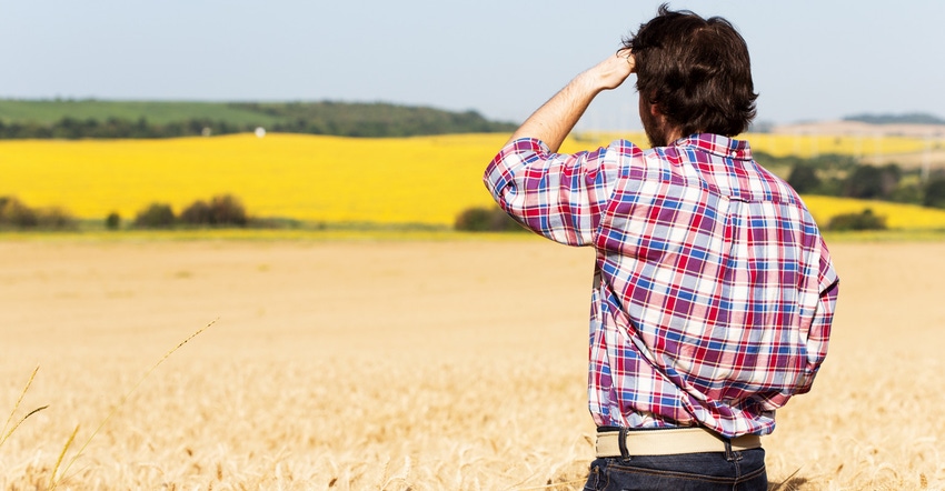 Man standing in an oat field