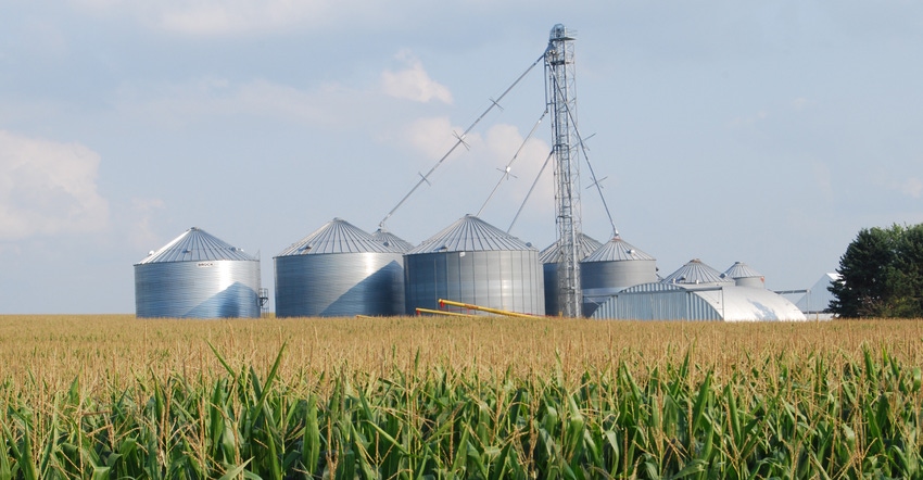 corn field with grain bins