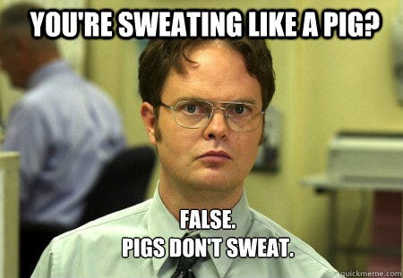 pig-sweating.jpg pig-sweating.jpg