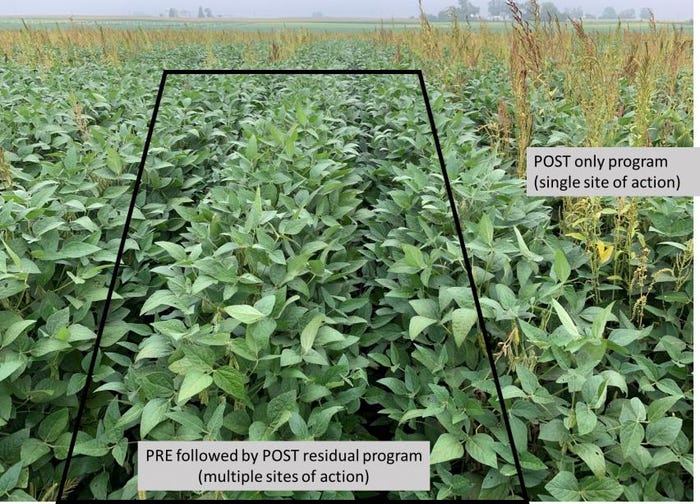 2-11-21 whats new in herbicideswaterhemp_control_pic.jpg