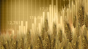 Market chart with wheat grains