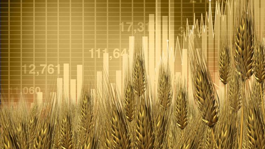 Market chart with wheat grains